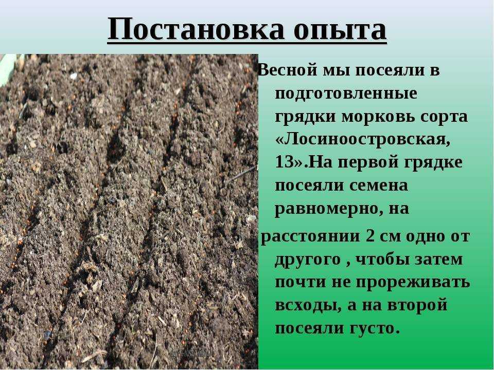 Древесина valheim – все виды, где найти, рецепты (гайд)