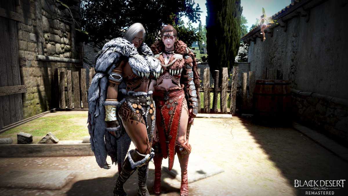 Гайд на варвара в black desert online (бдо)