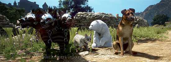 Гайд по лошадям в black desert mobile