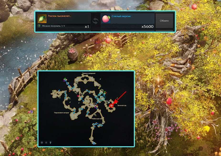 Lost ark online карта семян мококо (зачем нужны)