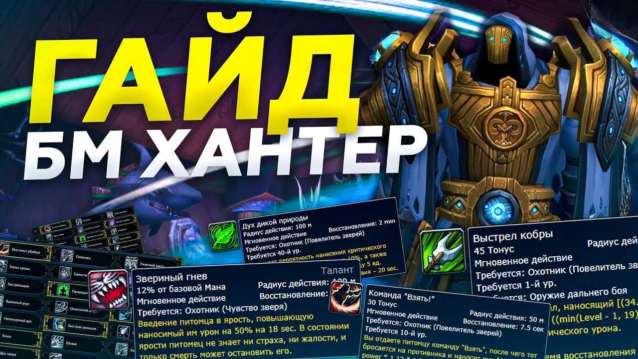 Пве гайд на бм ханта 3.3.5