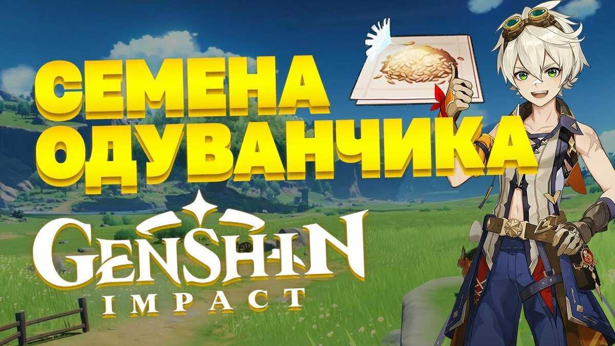 Одуванчики в геншин импакте: где добыть?