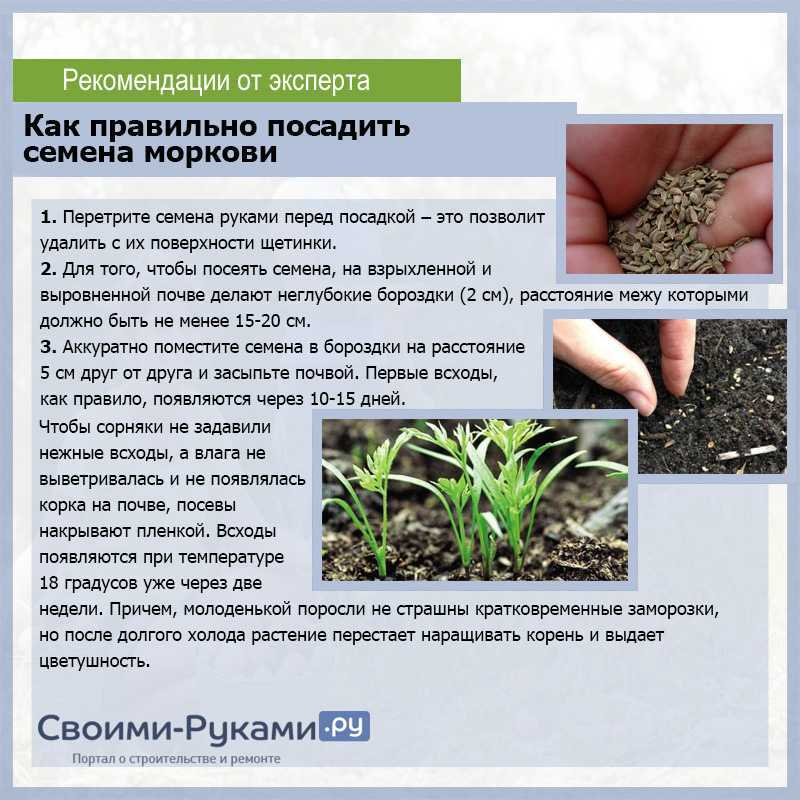 Гайд valheim — вся еда и рецепты