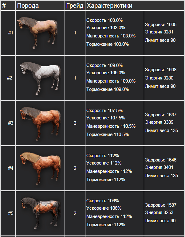 Как поднять ранг лошади в бдо