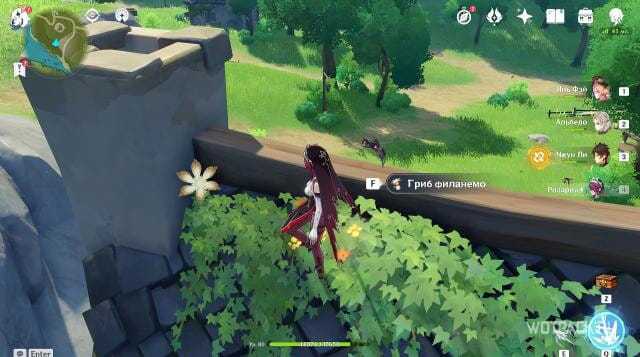 Гриб филанемо в игре genshin impact