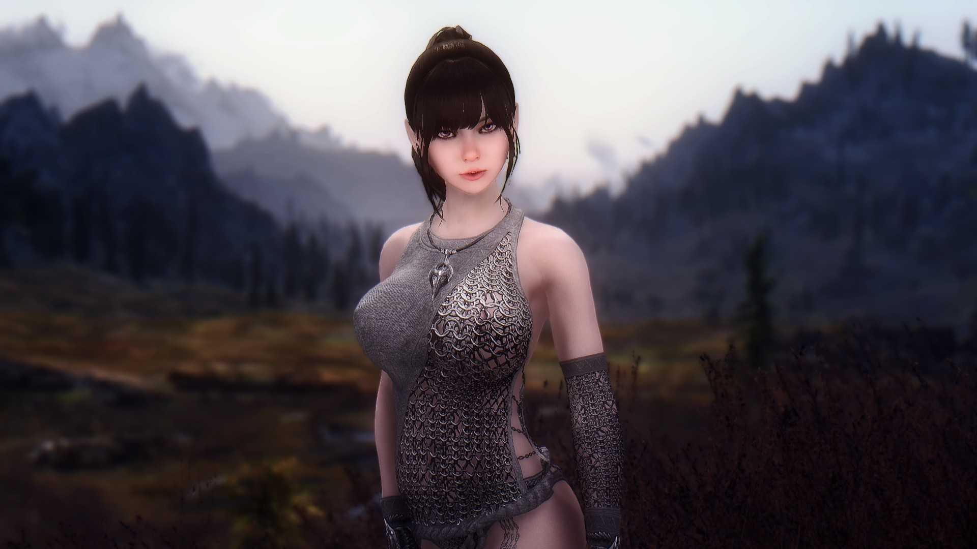 Black desert mod pc