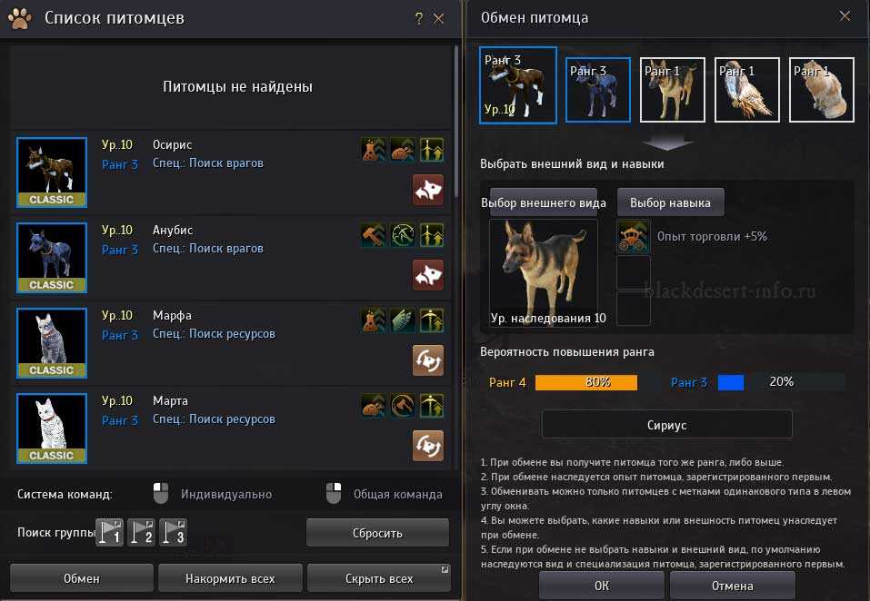 Black desert online. общий гайд по игре. (советы, faq)