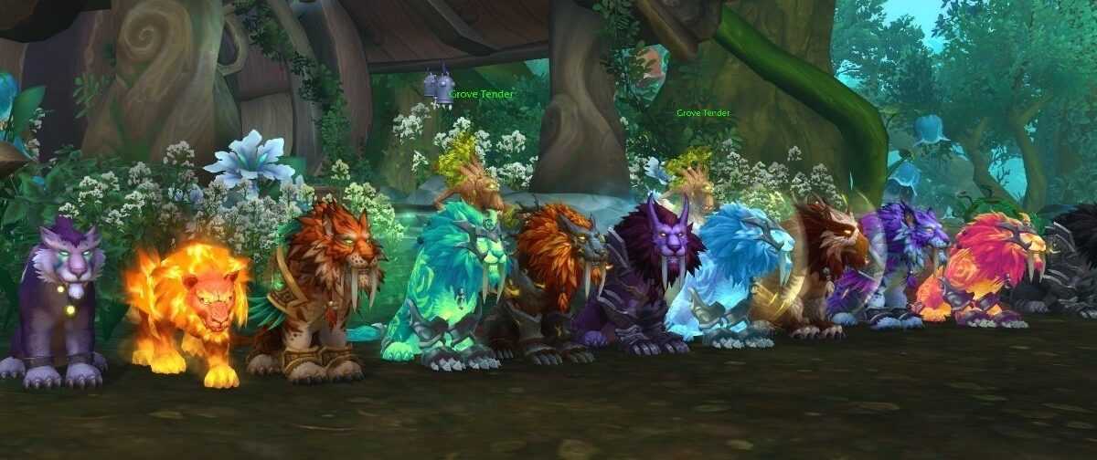 The feral druid dps guide - gotwarcraft.com