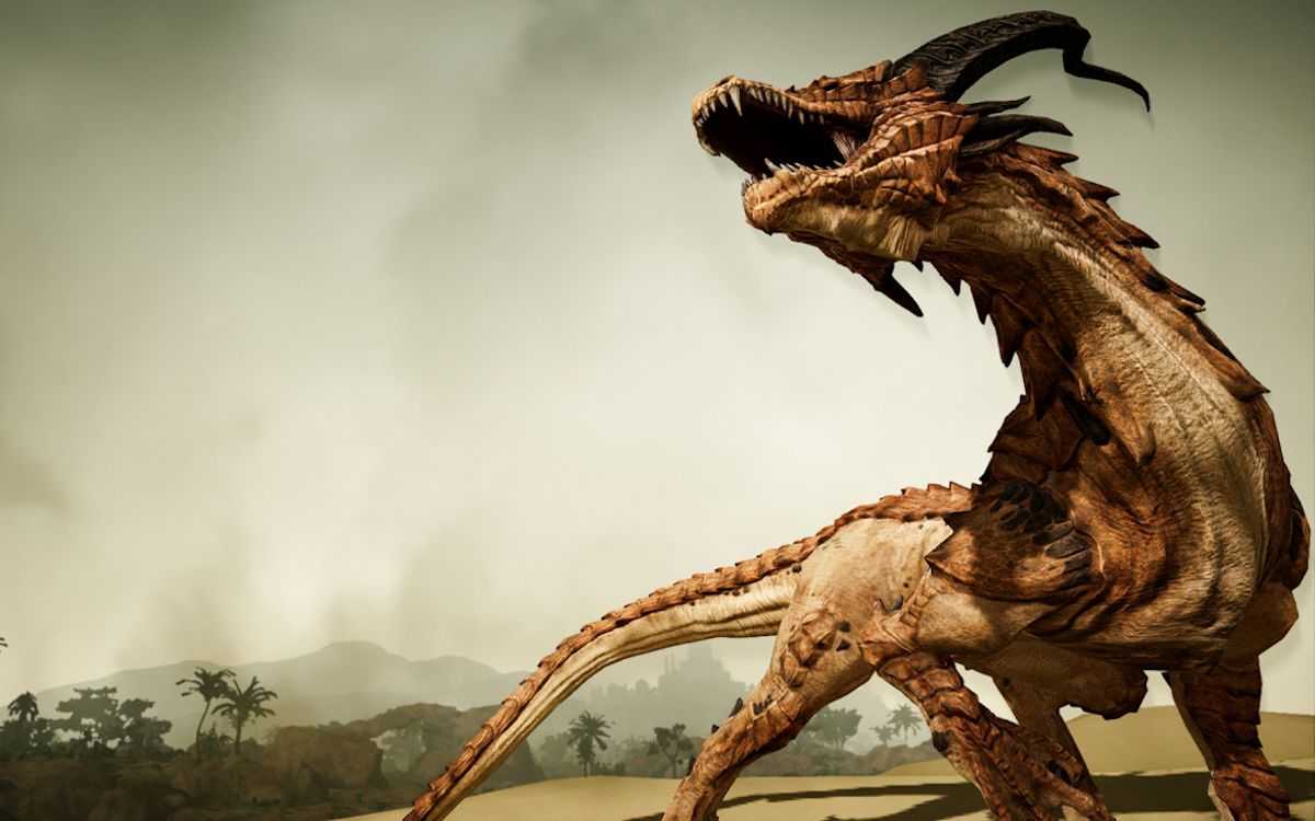 Полный гайд для новичков black desert online — разбор всего