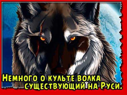 Архетипы славянского сознания - облик волка - часть i.