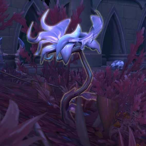Wow dragonflight: маршруты выращивания трав - votguide.ru