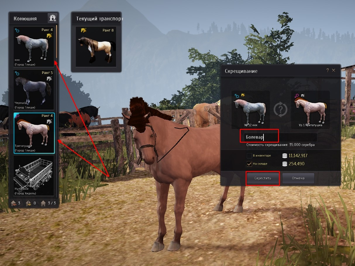 Полный гайд по лошадям в black desert