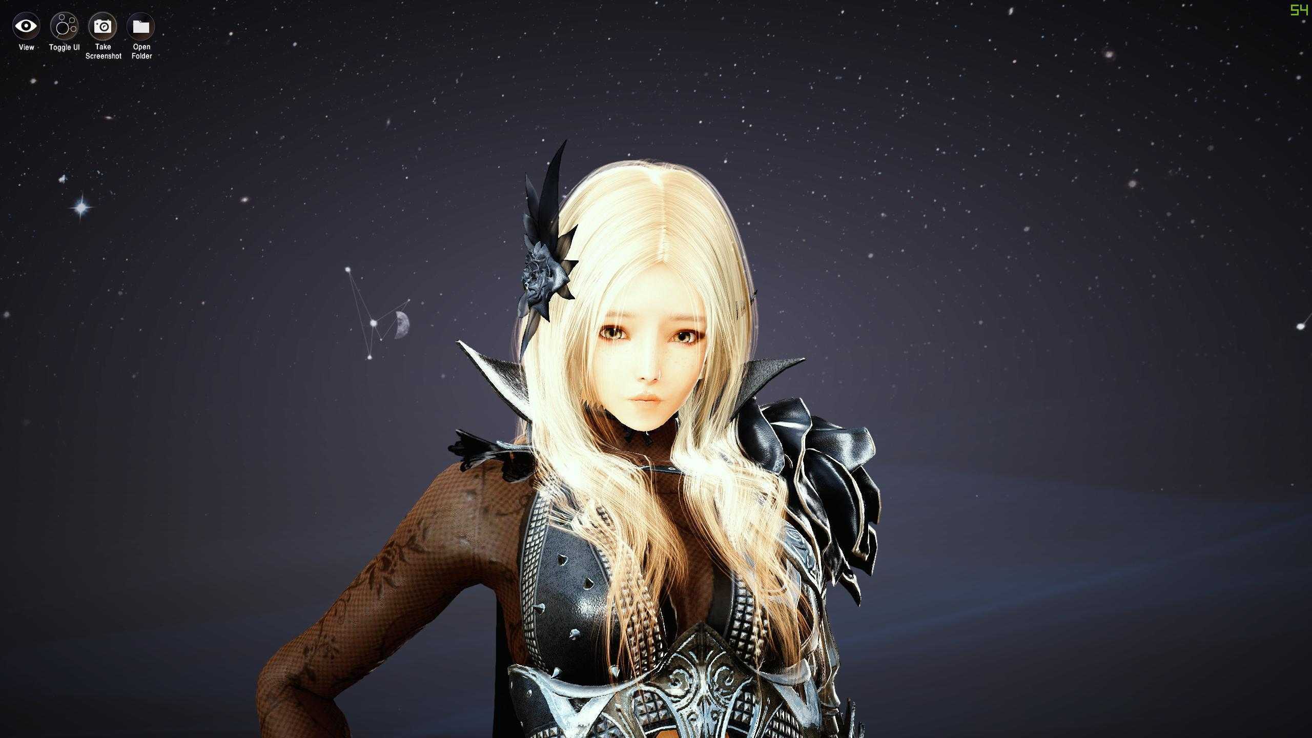 Классы black desert online. выбираем лучший